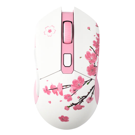 DAREU EM901X Lightweight Gaming Mouse